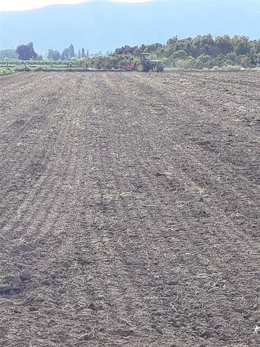 TERRENO CONSTRUCCION El Naranjal, Quinta de Tilcoco