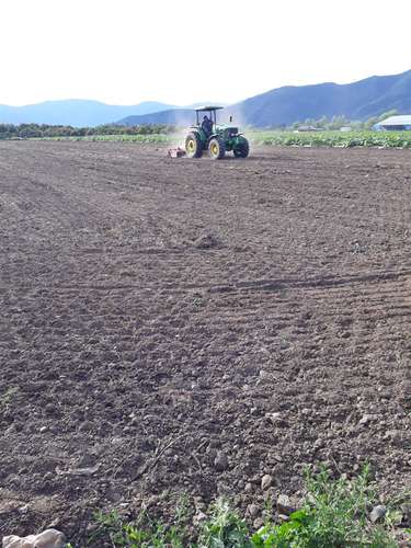 TERRENO CONSTRUCCION El Naranjal, Quinta de Tilcoco
