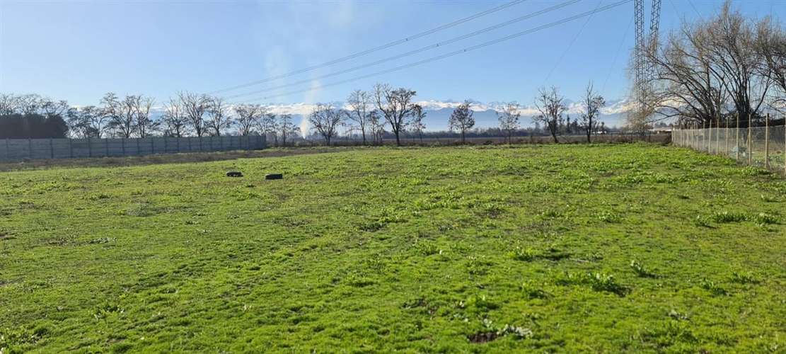 PARCELA Camino San Ramon - Imagen 5