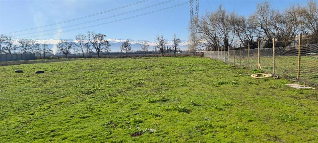 PARCELA Camino San Ramon - Imagen 6