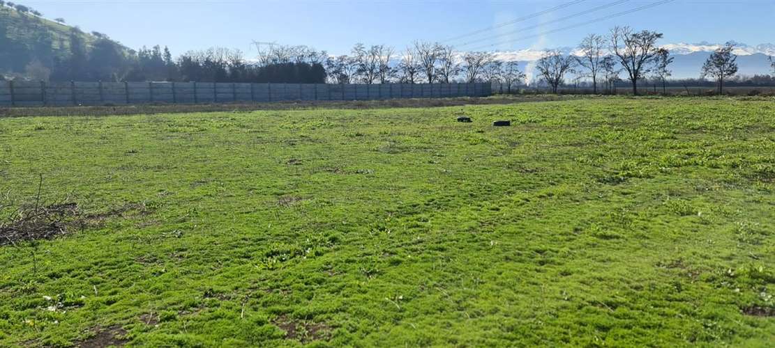 PARCELA Camino San Ramon - Imagen 4