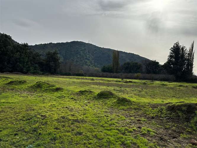 PARCELA Codegua