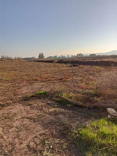 TERRENO CONSTRUCCION Fundo Santa Rita de Quinta Curico