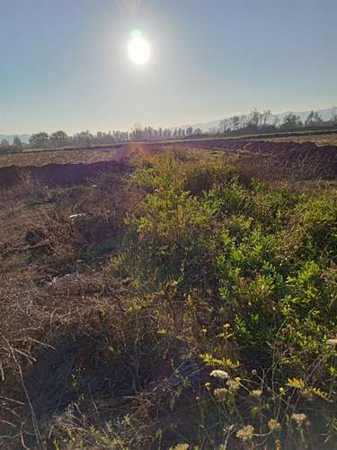 TERRENO CONSTRUCCION Fundo Santa Rita de Quinta Curico