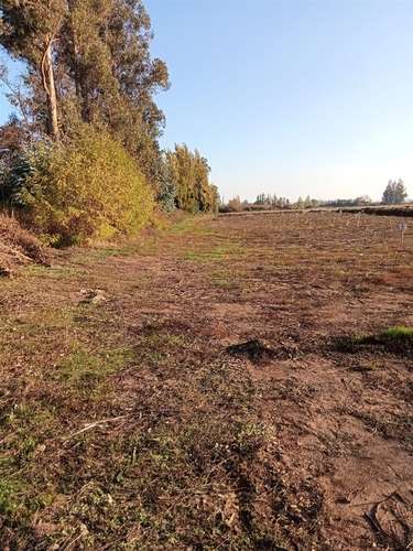 TERRENO CONSTRUCCION Fundo Santa Rita de Quinta Curico
