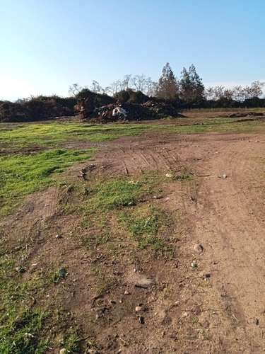 TERRENO CONSTRUCCION Fundo Santa Rita de Quinta Curico