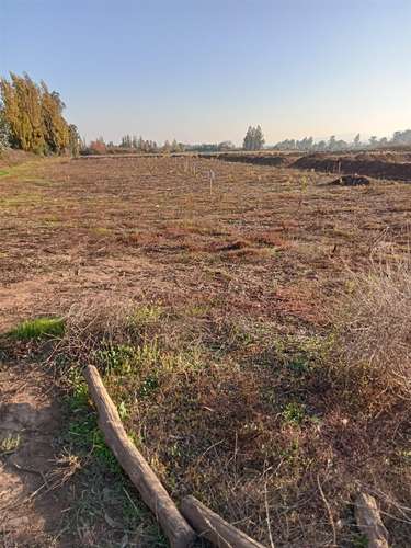 TERRENO CONSTRUCCION Fundo Santa Rita de Quinta Curico