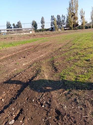 TERRENO CONSTRUCCION Fundo Santa Rita de Quinta Curico