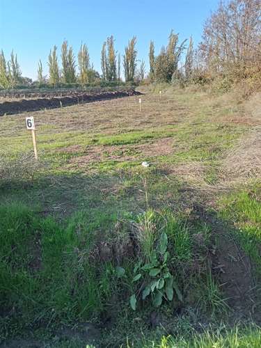 TERRENO CONSTRUCCION Fundo Santa Rita de Quinta Curico