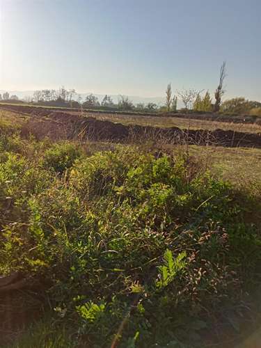 TERRENO CONSTRUCCION Fundo Santa Rita de Quinta Curico