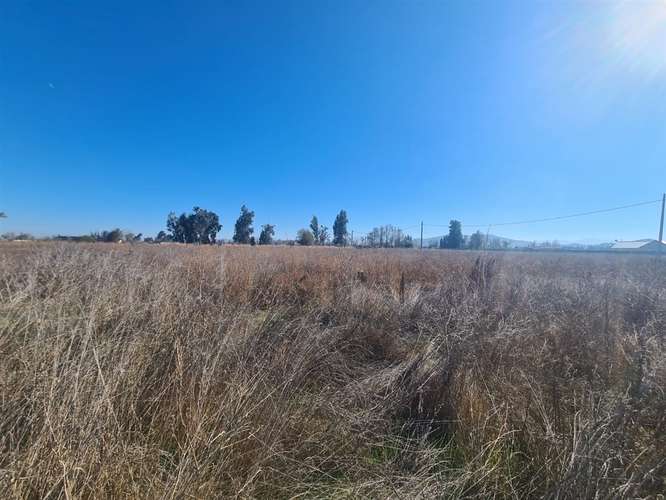 PARCELA Parcela en VENTA en Hacienda Requínoa 1