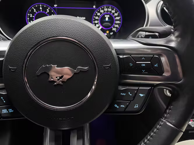 FORD MUSTANG COUPE GT 5.0 AT - Imagen 11
