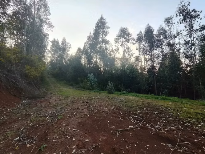 Parcela Concepción 4km De La Ciudad, Después De Palomares - Imagen 6