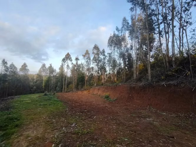 Parcela Concepción 4km De La Ciudad, Después De Palomares - Imagen 4