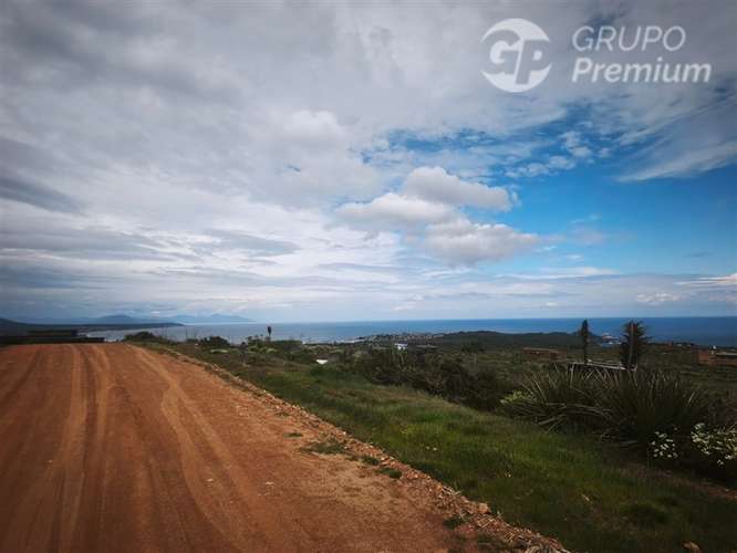 Parcela en Venta Los Molles - Imagen 14