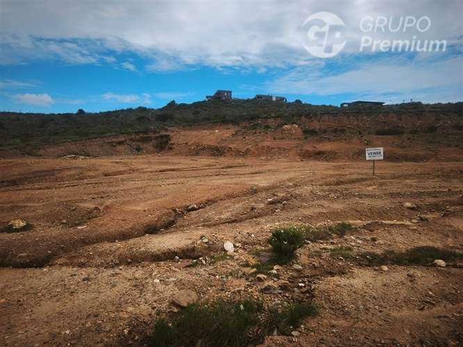 Parcela en Venta Los Molles - Imagen 9