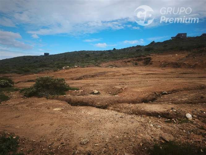 Parcela en Venta Los Molles - Imagen 6