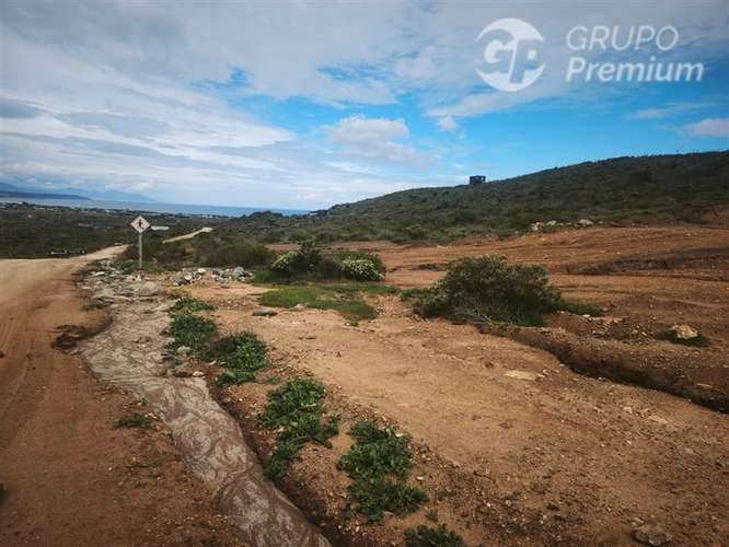 Parcela en Venta Los Molles - Imagen 5
