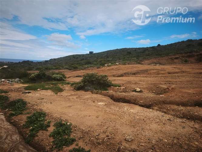 Parcela en Venta Los Molles - Imagen 7