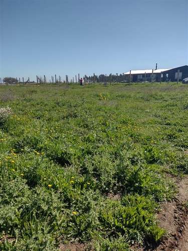 Parcela en venta en Litueche - Imagen 18