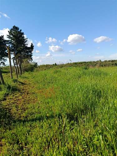 Terreno en venta en Bulnes - Imagen 2
