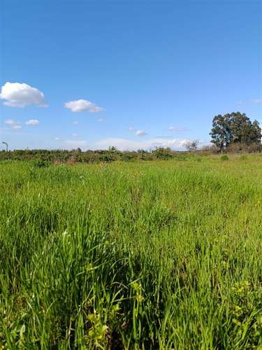 Terreno en venta en Bulnes - Imagen 3
