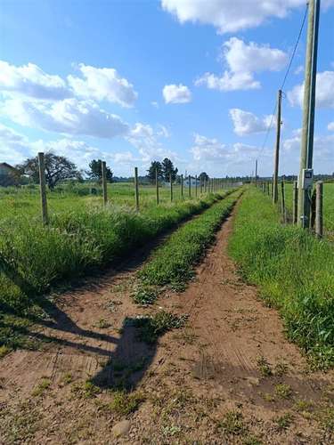 Terreno en venta en Bulnes - Imagen 15