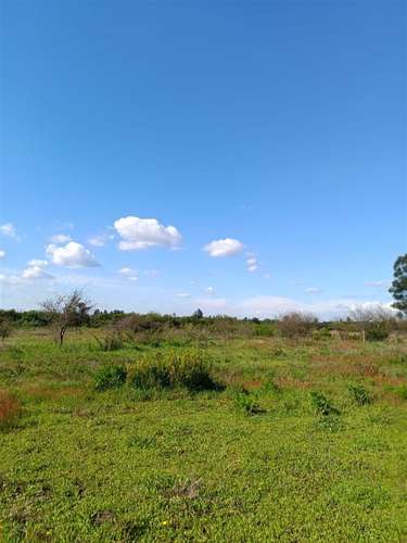 Terreno en venta en Bulnes - Imagen 4