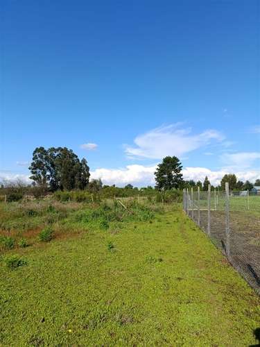 Terreno en venta en Bulnes - Imagen 8