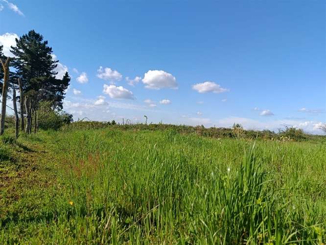 Sitio en venta en Bulnes