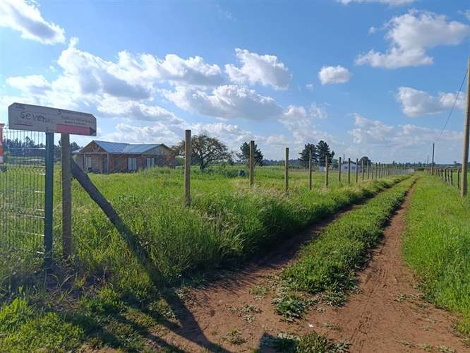 Terreno en venta en Bulnes - Imagen 13
