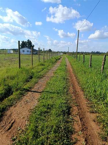 Terreno en venta en Bulnes - Imagen 12