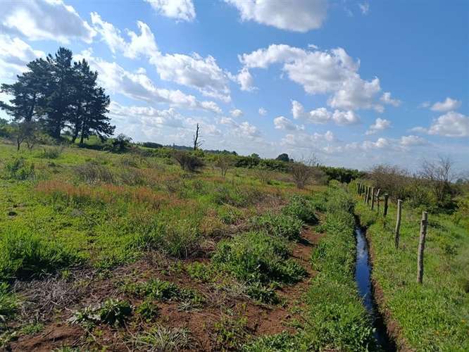 Terreno en venta en Bulnes - Imagen 10