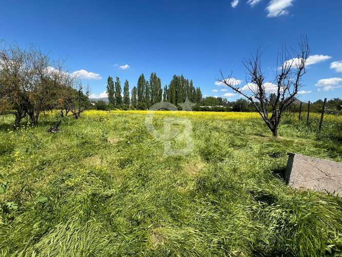 Sitio | Chicureo Centro | Sector Los Ingleses - Imagen 17