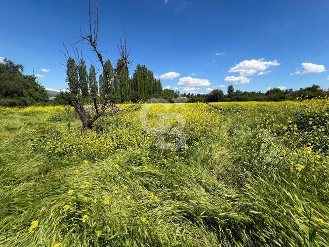Sitio | Chicureo Centro | Sector Los Ingleses - Imagen 4