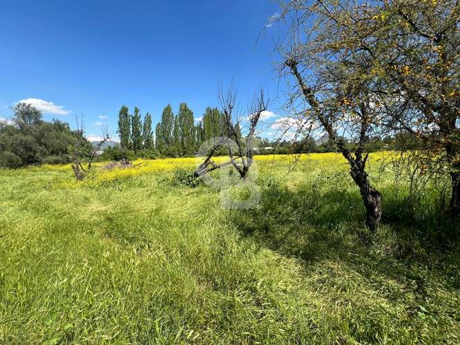 Sitio | Chicureo Centro | Sector Los Ingleses - Imagen 11
