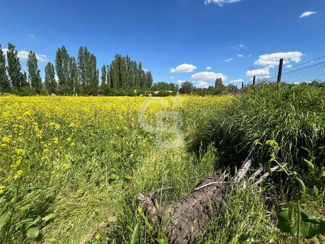 Sitio | Chicureo Centro | Sector Los Ingleses - Imagen 16
