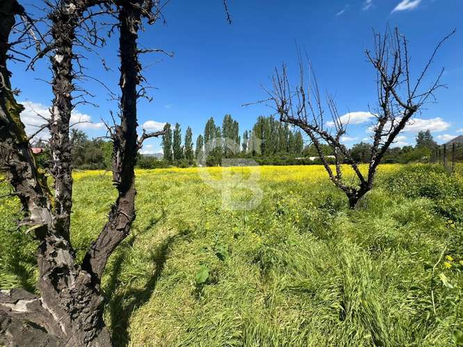Sitio | Chicureo Centro | Sector Los Ingleses - Imagen 7