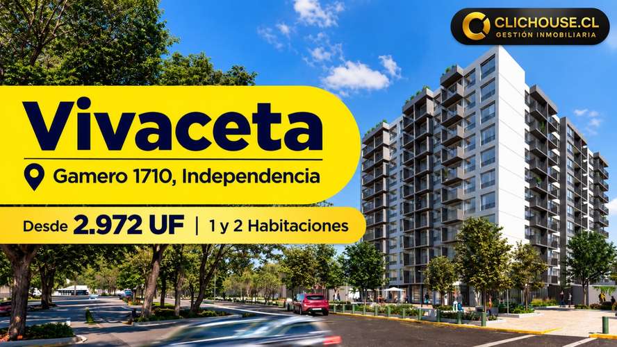 Proyecto Vivaceta