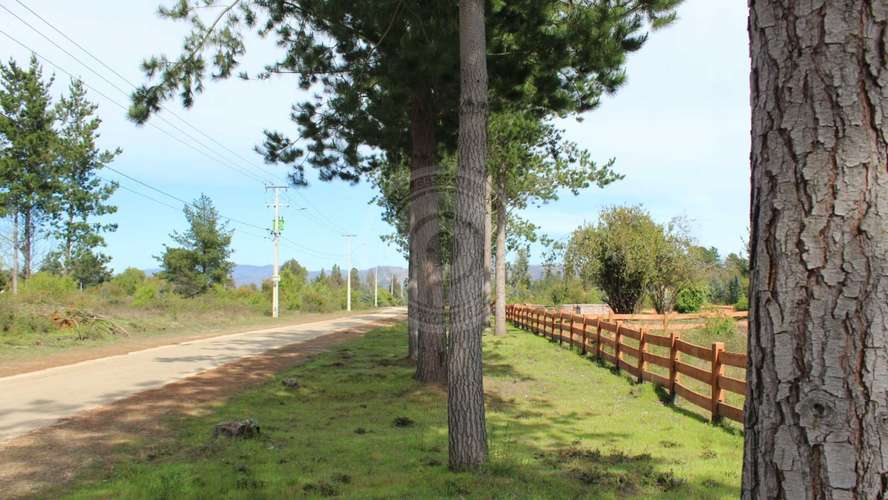 Terreno plano con excelente acceso en condominio (186898)
