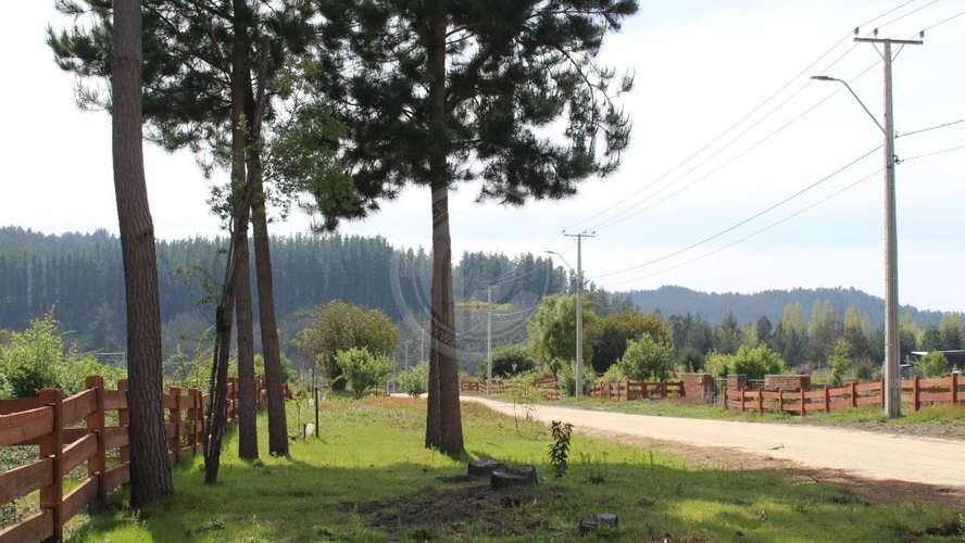 Terreno plano con excelente acceso en condominio (186898)