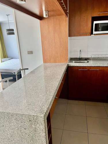 Moderno departamento 1 dormitorio con terraza en Concepcion - Imagen 9