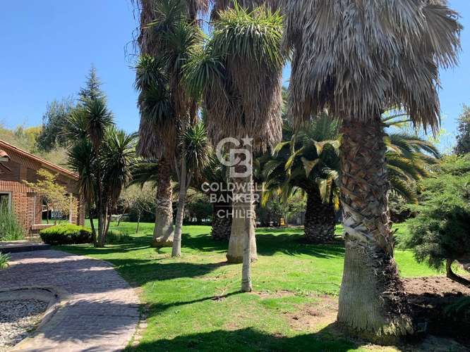 Colegio San Nicolás | Santa Cecilia I Chicureo - Imagen 18