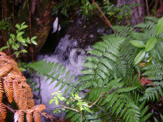 28ha, Península, Rio, Telele, Fiordo Leptepu