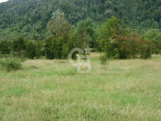 28ha, Península, Rio, Telele, Fiordo Leptepu