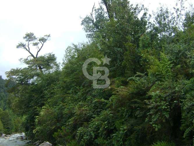 28ha, Península, Rio, Telele, Fiordo Leptepu