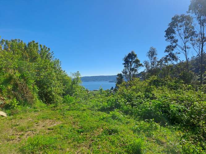 TERRENO 5000 M2  - CORRAL Región de los ríos