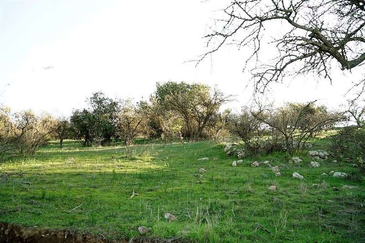 Parcelas En San Fernando Rol Propio Pocas Unidades oferta