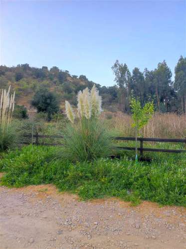 Parcelas En San Fernando Rol Propio Pocas Unidades oferta