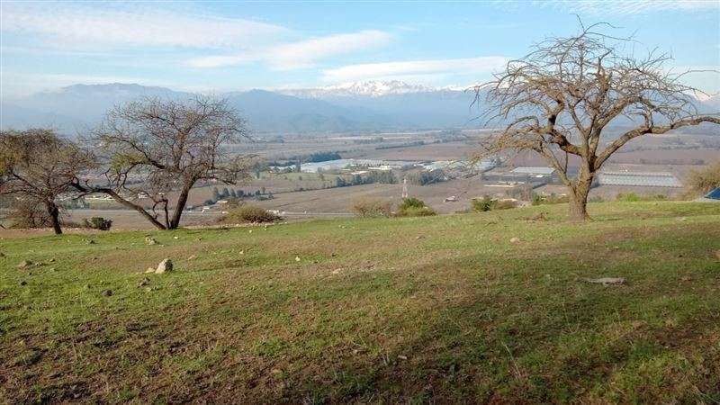 Parcelas En San Fernando Rol Propio Pocas Unidades oferta